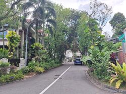 Grove Drive (D10), Terrace #608684131